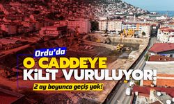 Ordu'da o caddeye kilit vuruluyor! 2 ay boyunca geçiş yok!
