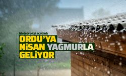 Nisan ayı kapıyı Ordu'da kar ve yağmurla çalacak!