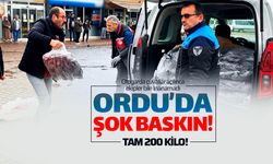 Ordu'da şok baskın! Tam 200 kilo geldi!