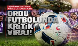 Ordu'da futbol haftası: 52 Orduspor'dan yarım düzine gol!