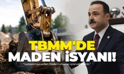 MHP'li Şanlıtürk'ten TBMM'de Maden İsyanı!