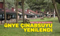 Ünye Çınarsuyu Tabiat Parkı Yenilendi: İşte Yeni Yüzü!