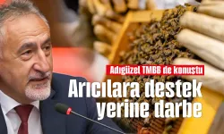 CHP'li Adıgüzel'den arıcılara destek çağrısı