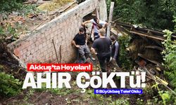 Ordu'daki heyelanda ahır çöktü!
