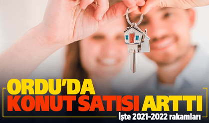 Ordu'da konut satışları arttı