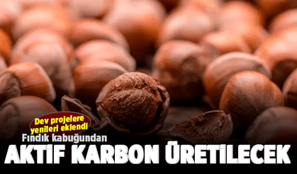 Fındık kabuğundan aktif karbon üretilecek