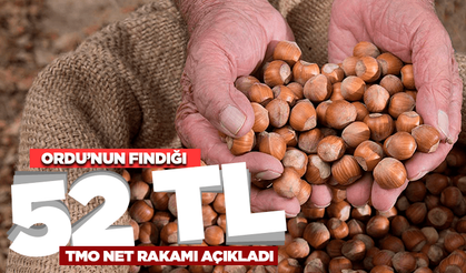 Ordu'nun fındık taban fiyatı 52 TL oldu