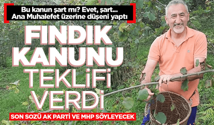 CHP'den 'Fındık Kanunu' teklifi