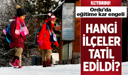 Ordu'da eğitime ikinci kez kar engeli