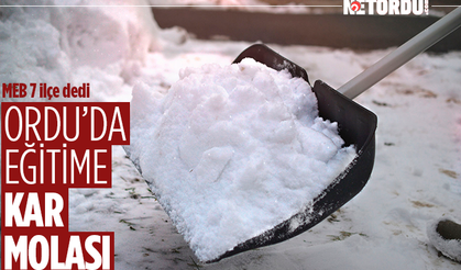 Ordu'nun 7 ilçesinde okullara kar tatili