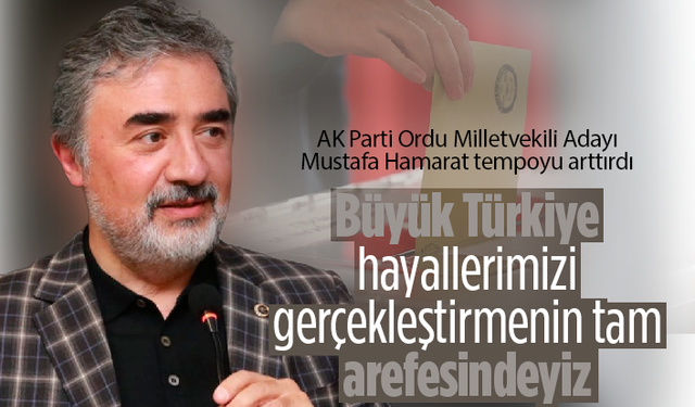 Mustafa Hamarat: "Büyük Türkiye'nin arefesindeyiz"