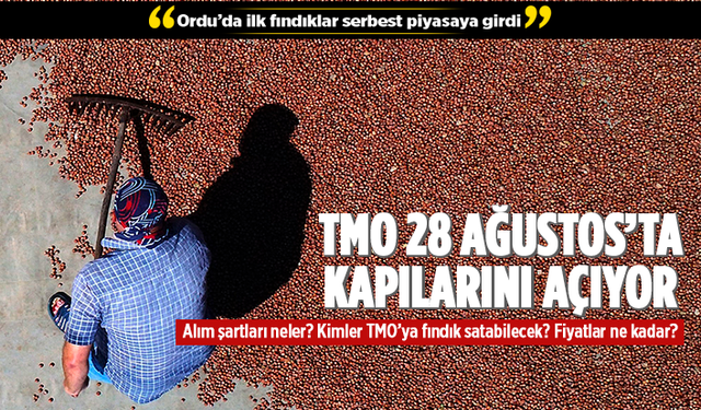 TMO ilk fındık alımlarına 28 Ağustos'ta başlayacak