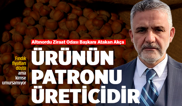 Ordu'da fındık fiyatları düşüşe geçti