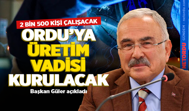 Ordu'ya 'üretim vadisi' kurulacak