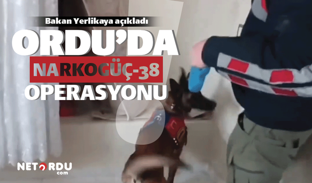 Ordu'da uyuşturucu ve kaçak akaryakıt operasyonu