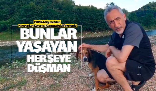Mustafa Adıgüzel'den o kanun teklifine tepki