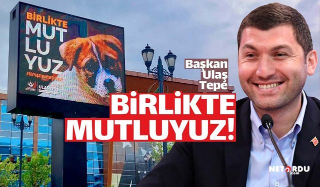 Başkan Tepe'den sokak hayvanları paylaşımı