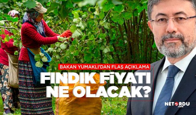 Fındık fiyatları ile ilgili flaş açıklama!