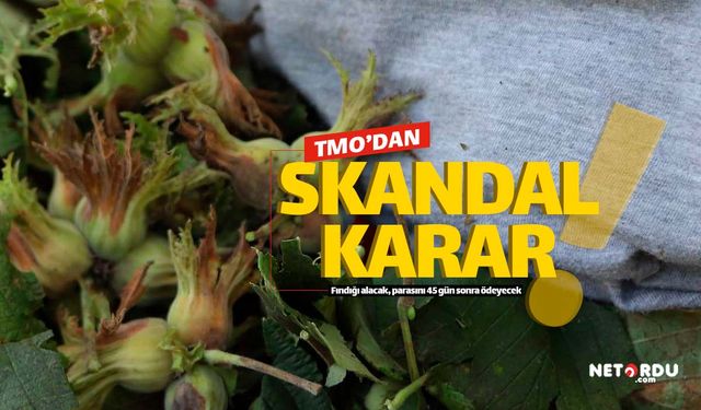 TMO'dan skandal fındık kararı!