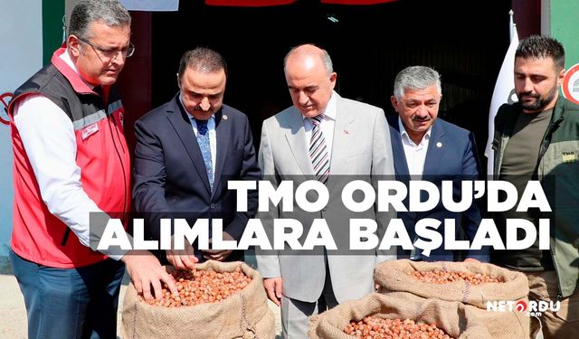 TMO Ordu'da da ilk fındık alımlarına başladı