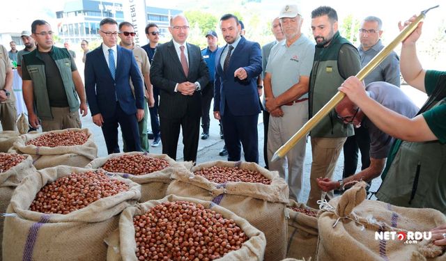 TMO ilk fındıkları Bulancak'ta almaya başladı