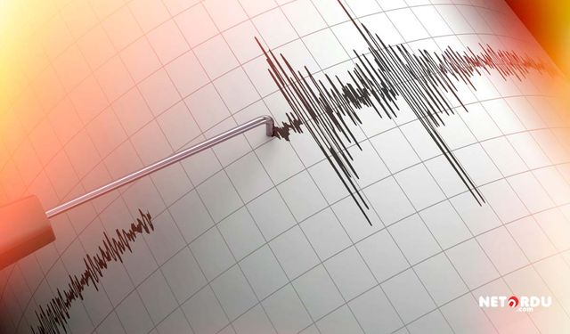 Erzincan'da 4.1 büyüklüğünde deprem