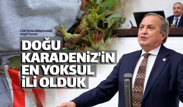 Seyit Torun: "Doğu Karadeniz'in en yoksul ili olduk"