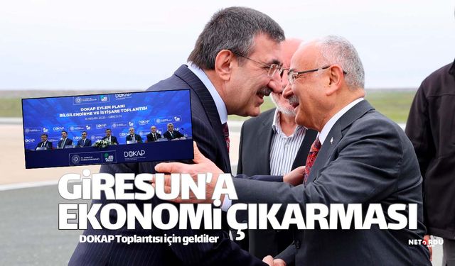 Kabine üyelerinden Giresun'a ekonomi çıkarması