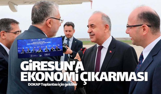 Kabine üyelerinden Giresun'a ekonomi çıkarması