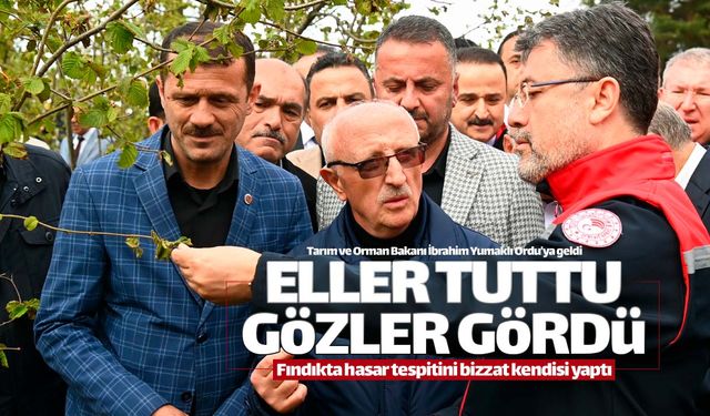 Tarım Bakanı Yumaklı fındıkta zarar tespitini bizzat yaptı