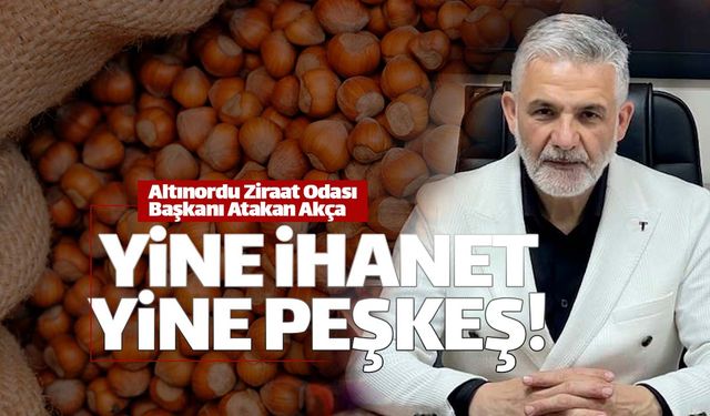 TMO fındık satışıyla yine ortalığı karıştırdı