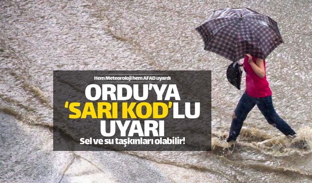 Ordu, Giresun ve Trabzon'a 'sarı' kodlu uyarı