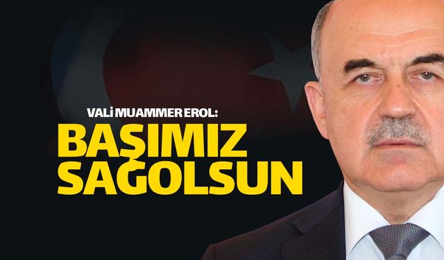 Ordu Valisi Erol'dan 'Başsağlığı' mesajı