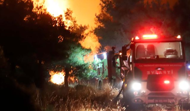 Bu kez de Tekirdağ ve Çanakkale ormanları yanıyor