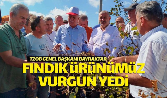 TZOB Başkanı Bayraktar: "Fındık vurgun yedi"