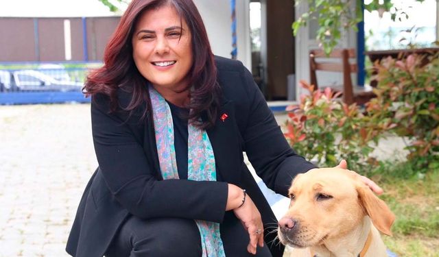 Özlem Çerçioğlu CHP'den istifa ettiğini açıkladı