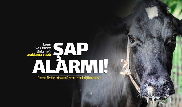 Tarım ve Orman Bakanlığı'ndan 'şap hastalığı' açıklaması