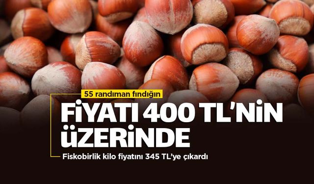 Fındık fiyatları rekora koşuyor