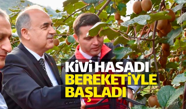 Yeni kivi hasat sezonu bereketiyle başladı