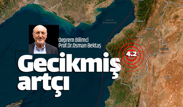 Prof.Dr.Bektaş Hatay depremi için 'gecikmiş artçı' dedi