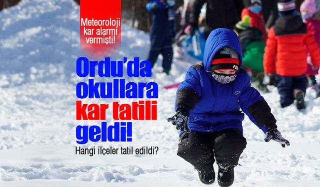 Ordu'da bazı ilçelerde okullara kar tatili!