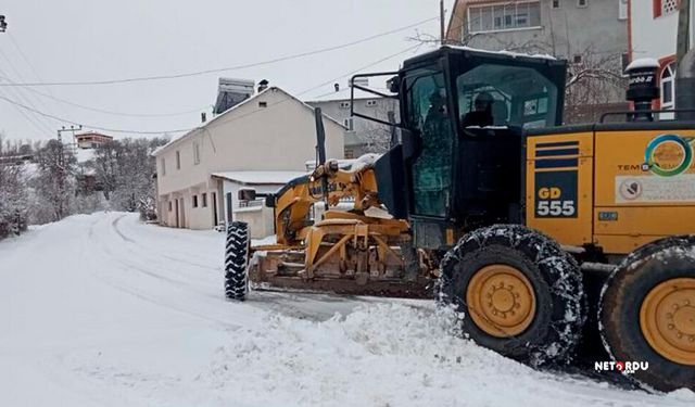 Ordu'da kar nedeniyle 16 ilçede okullar tatil edildi