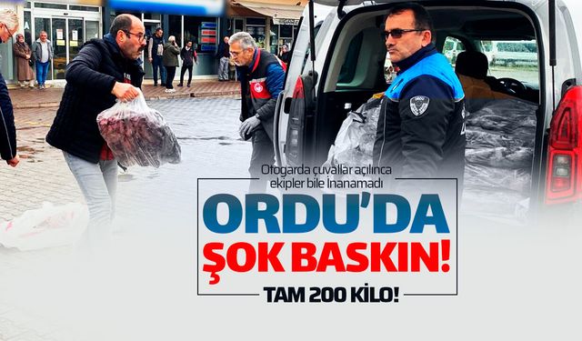 ORDU'DA 200 KİLO KAÇAK ETE EL KONULDU