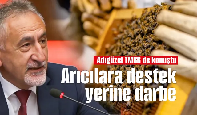 CHP'li Adıgüzel'den arıcılara destek çağrısı