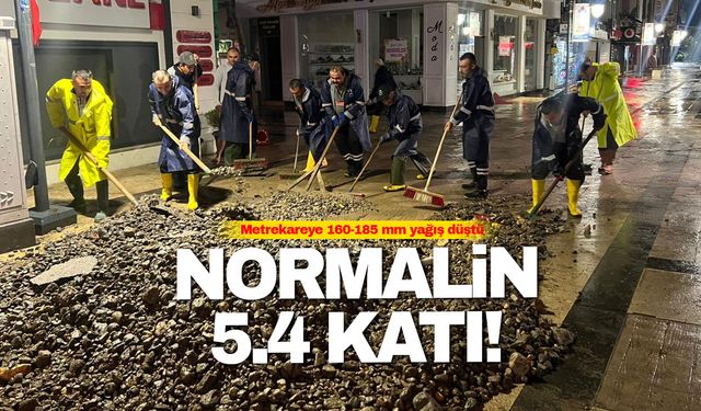 Fatsa'da Yüzyılın Afeti: Ağustos Normallerinin 5,4 Katı Yağış Düştü