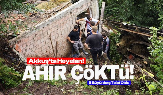 Ordu'da Heyelan: Ahır Çöktü!