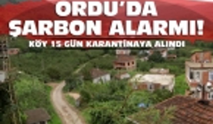 ORDU'DA ŞARBON ALARMI VERİLDİ! 1 KİŞİ ÖLDÜ...