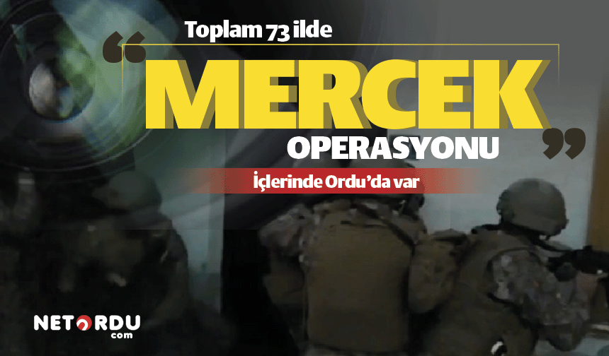 Ordu polis ve jandarmanın Mercek-4 Operasyonu'na takıldı!