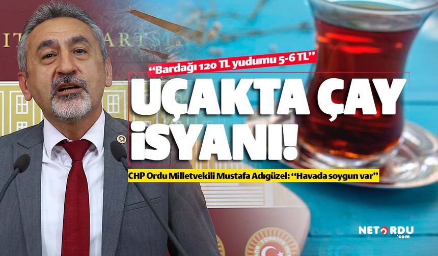 CHP'li Mustafa Adıgüzel'in 'uçakta çay' isyanı!