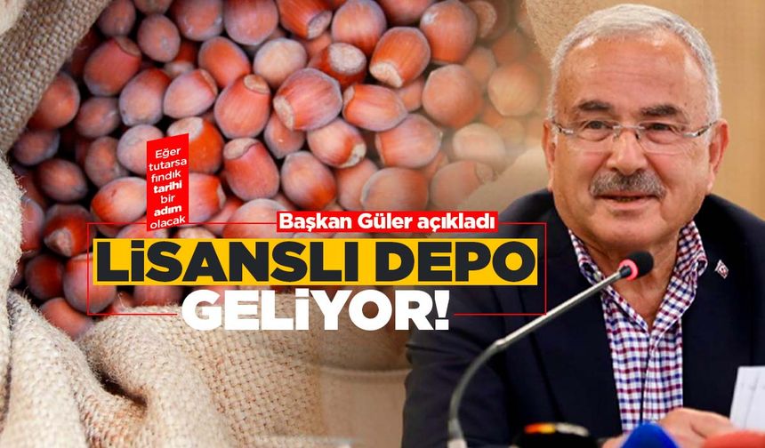 Ordu'da fındık için 'lisanslı depo' yapılacak!